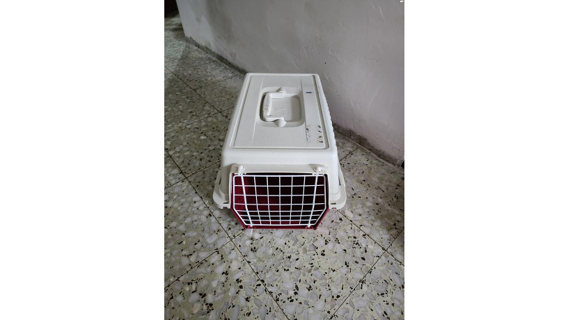 cat-cage-height-30-width-32-length-48-big-3