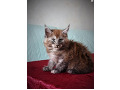 -small-6