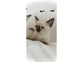 -small-0