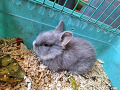 -small-1