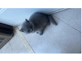 -small-0