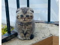 -small-1