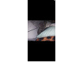 -small-4