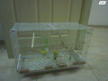 -small-2