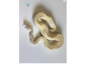 1-small-3