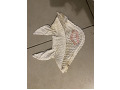 veredus-full-small-1