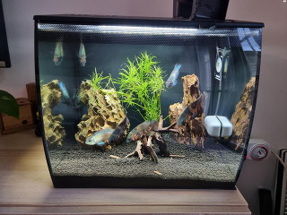 אקווריום דגם fluval flex 9