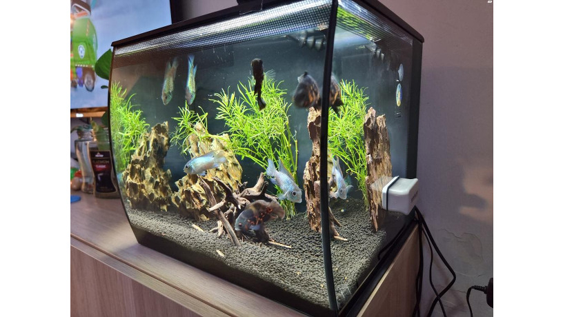 fluval-flex-9-big-1