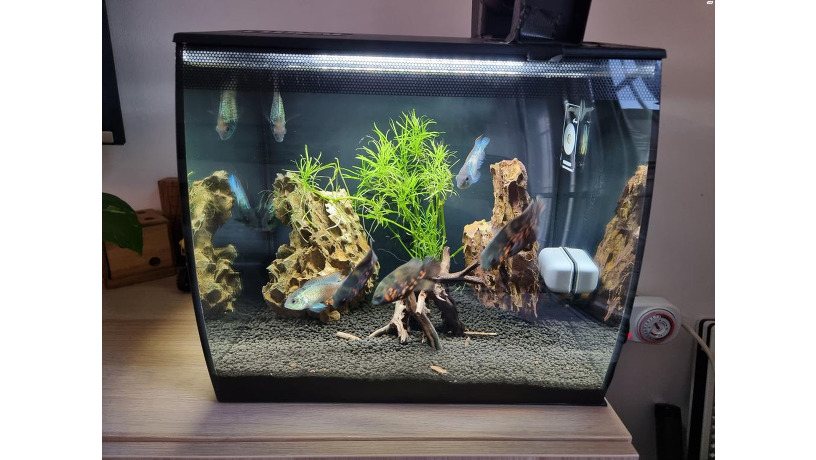 fluval-flex-9-big-0