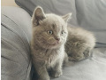 -small-1