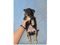-small-2