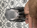 -small-4