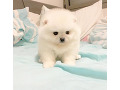 -small-1