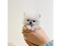 -small-0