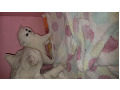 -small-6