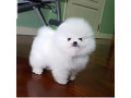 -small-2