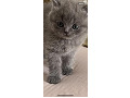 -small-1