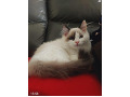 -small-5