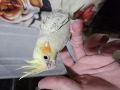 -small-1