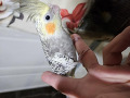 -small-0