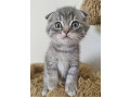 -small-2