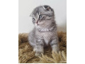 -small-1