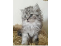 -small-3