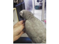 -small-2