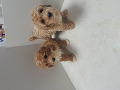 -small-2