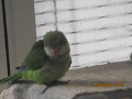 -small-2