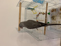 -small-3