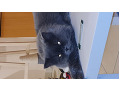 -small-7