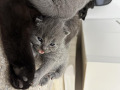 -small-3