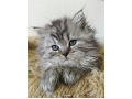 -small-3