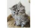 -small-2