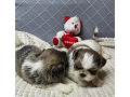 -small-1