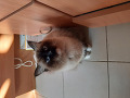 -small-2