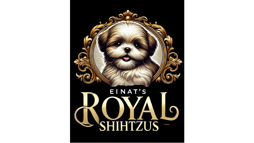 einats-big-10
