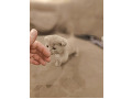 -small-3