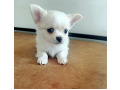 -small-0