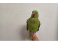 -small-0