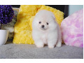 -small-0