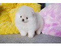 -small-2
