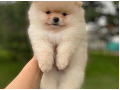 -small-3
