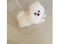 -small-3