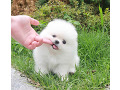 -small-2