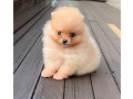 -small-0