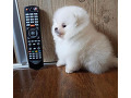-small-0