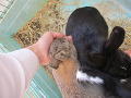 -small-2