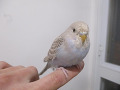 -small-0